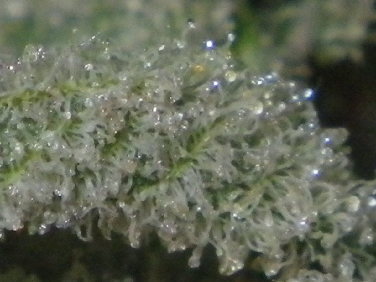 IMGP0849