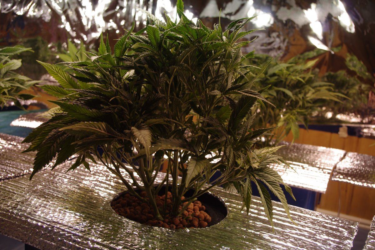 IMGP0935