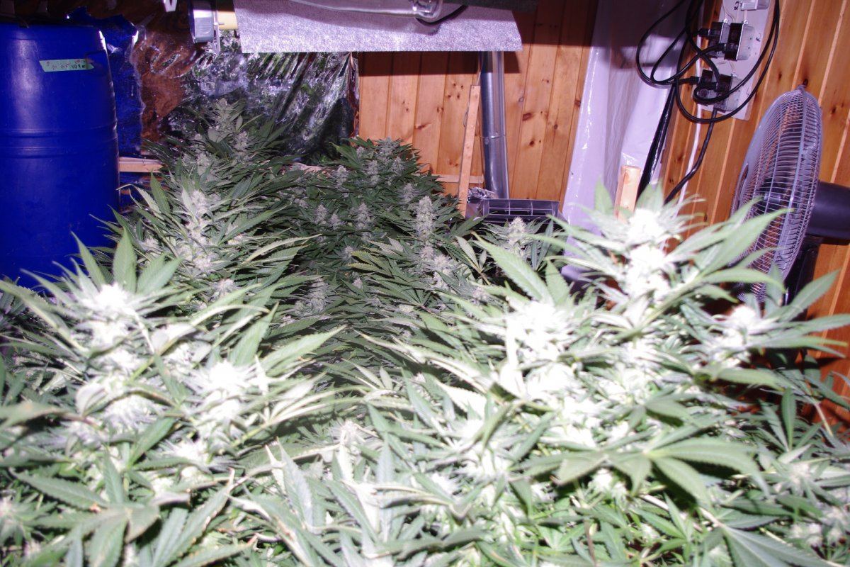 IMGP2003