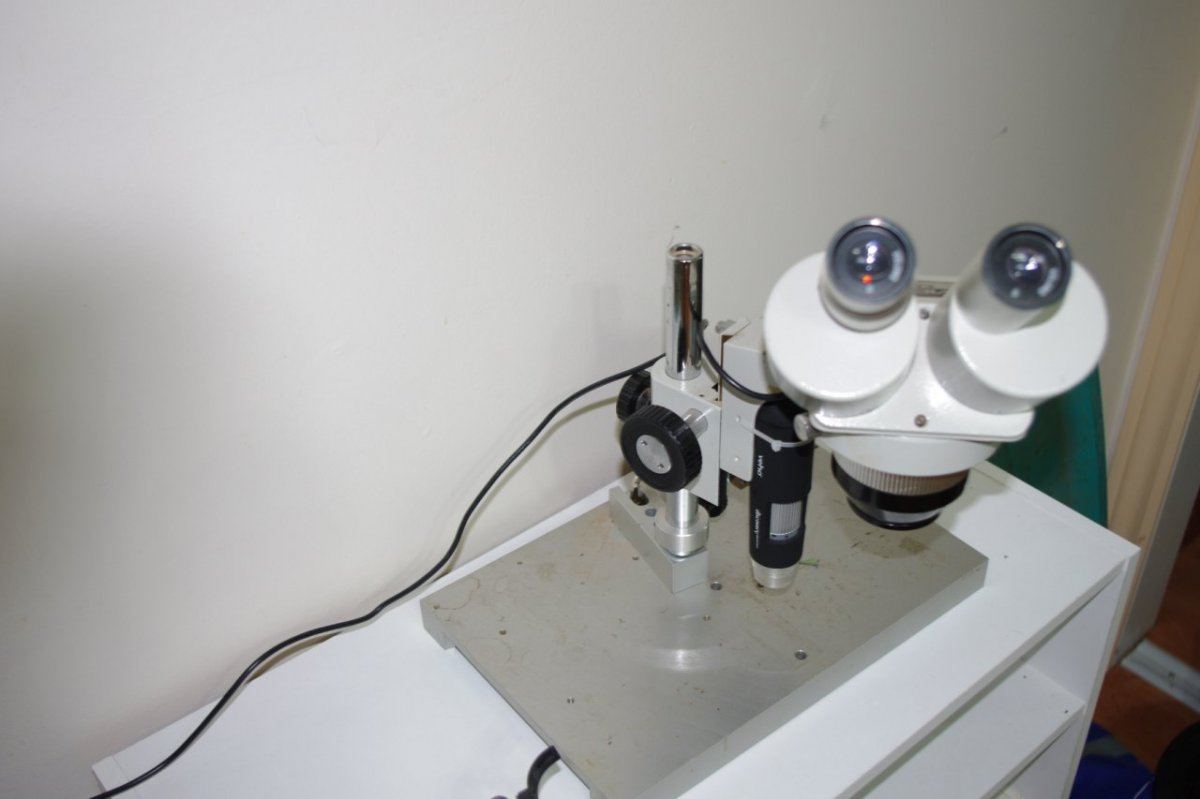 IMGP2147