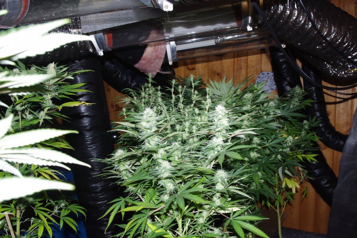 IMGP4200