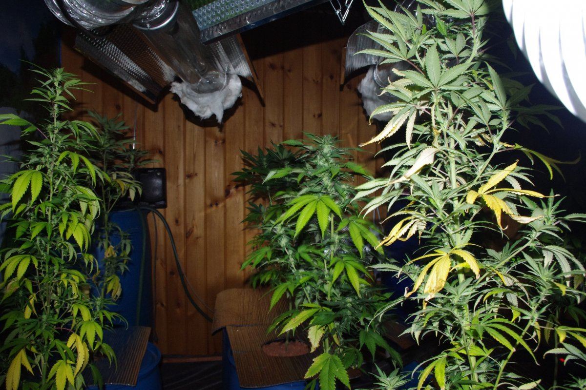 IMGP4206