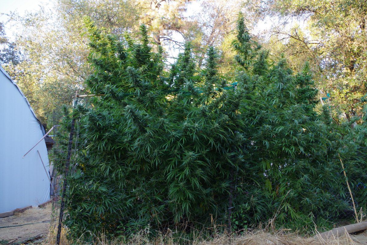 IMGP4762
