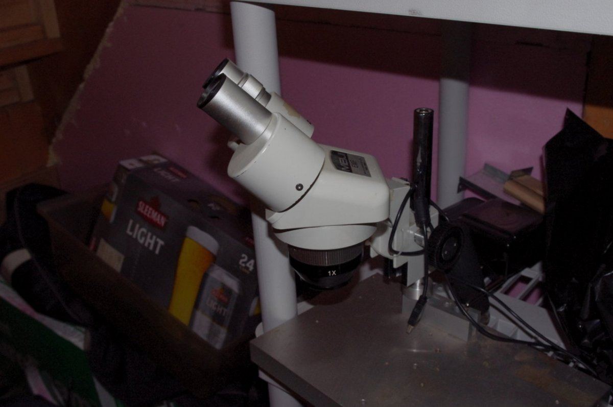 IMGP6258