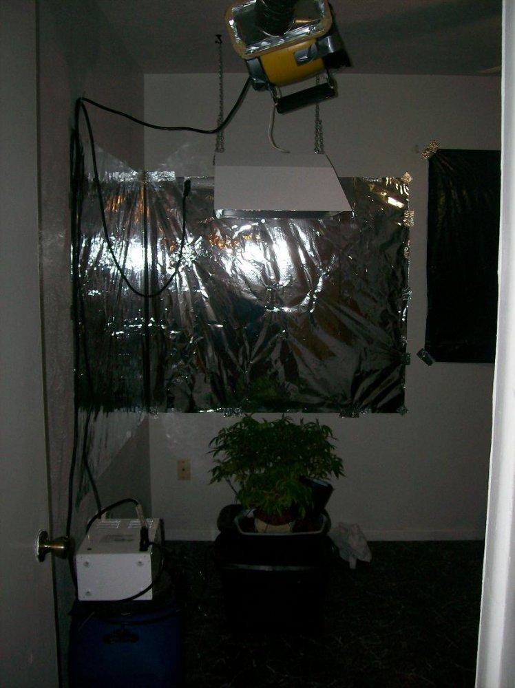 Improving my 1000w hydro grow room 2