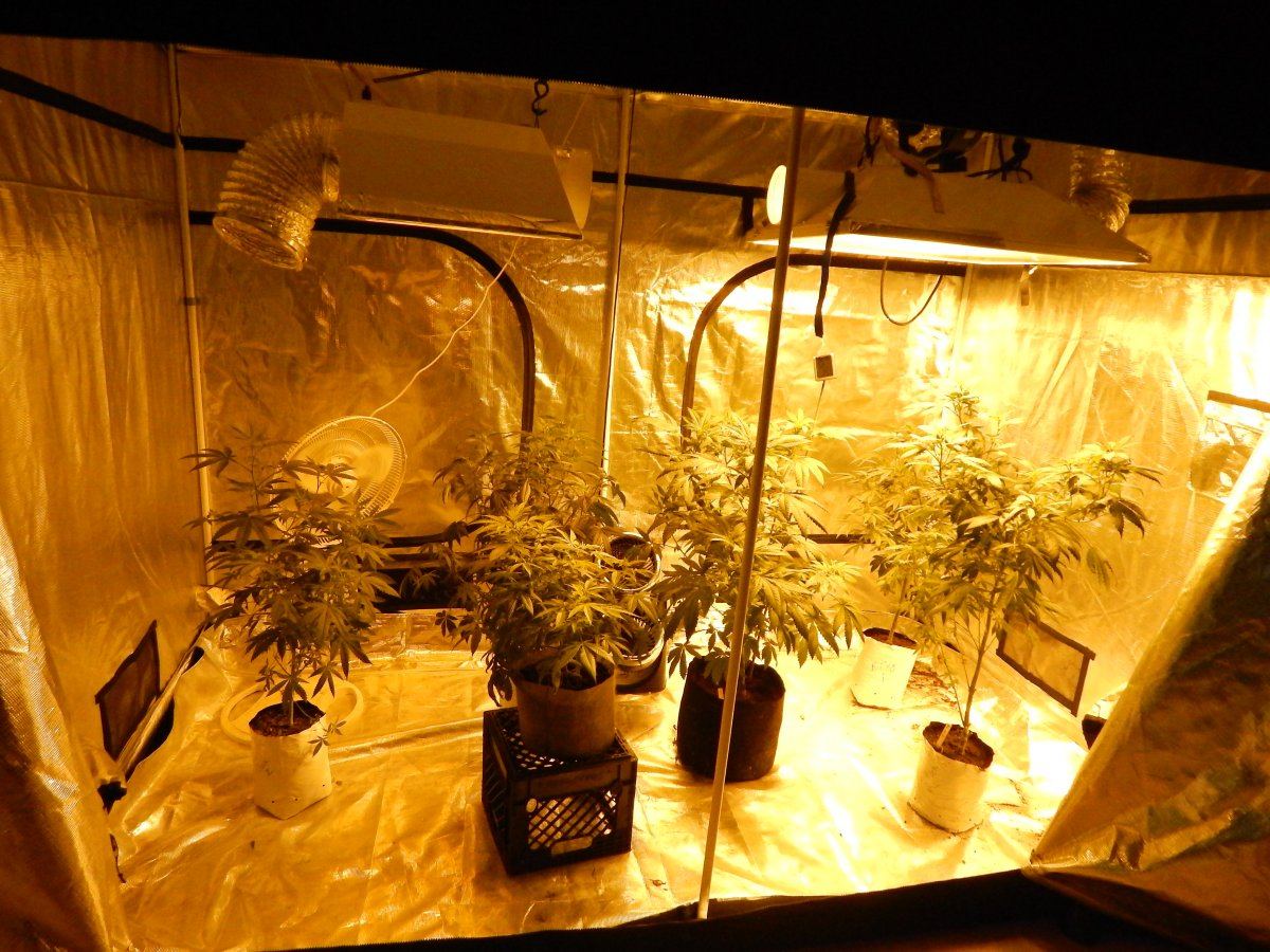 Indoor 001