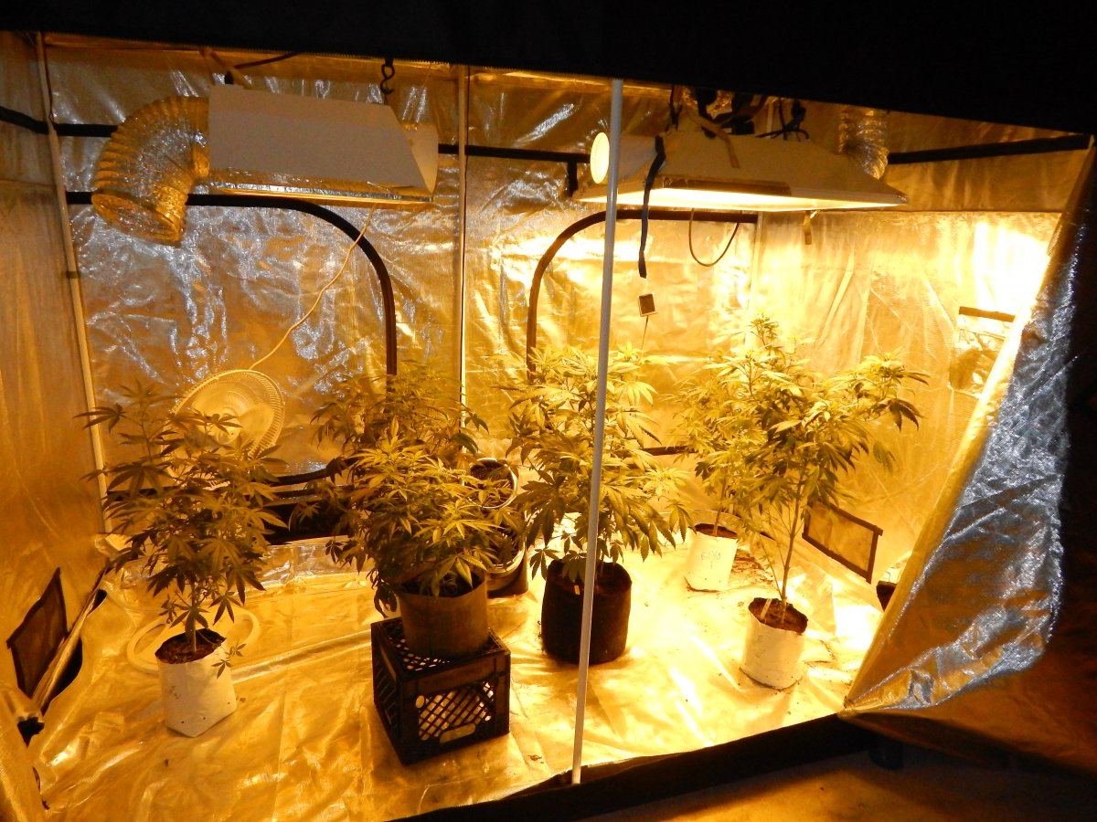 Indoor 002