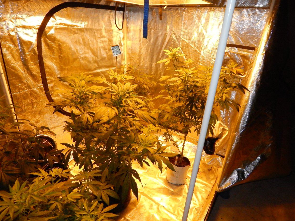 Indoor 003