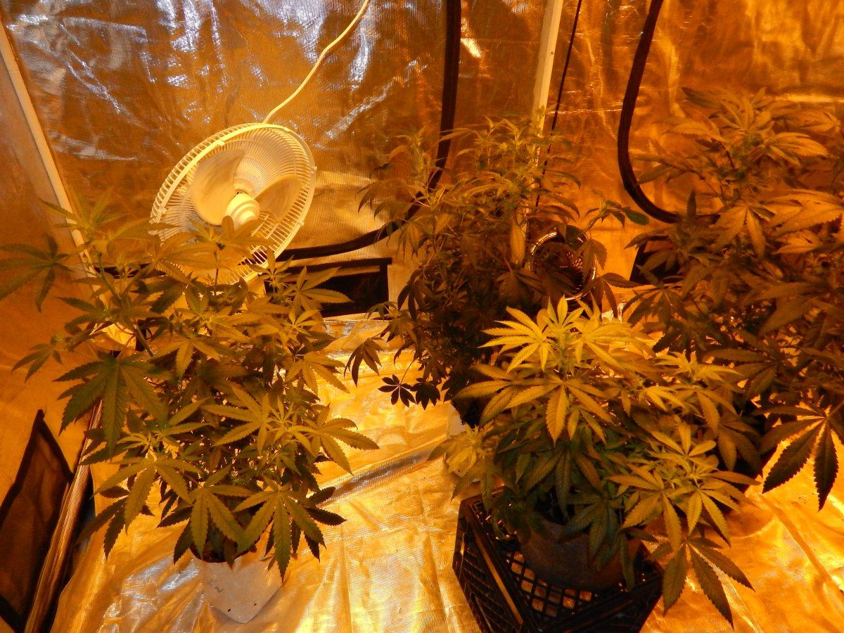 Indoor 004
