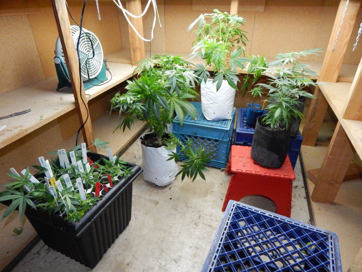 Indoor 006