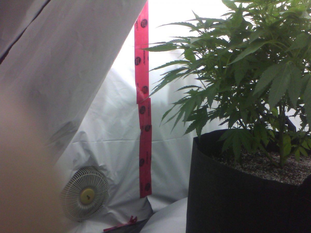Indoor2