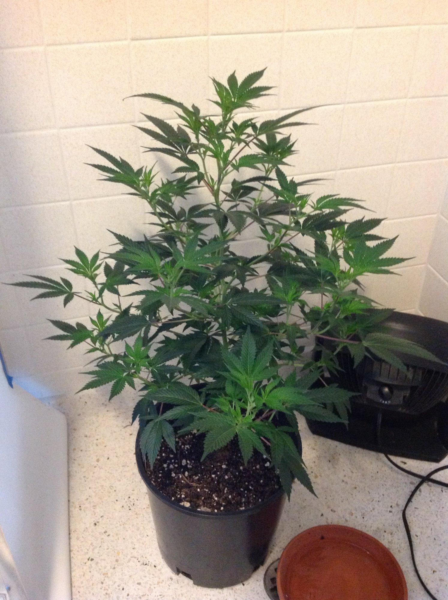 Indooroutdoor 3