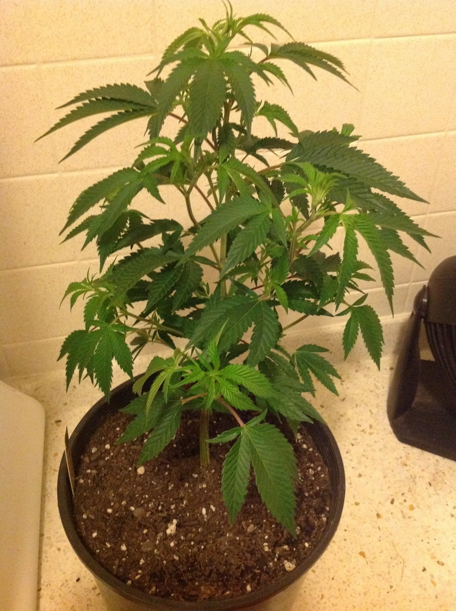 Indooroutdoor 4