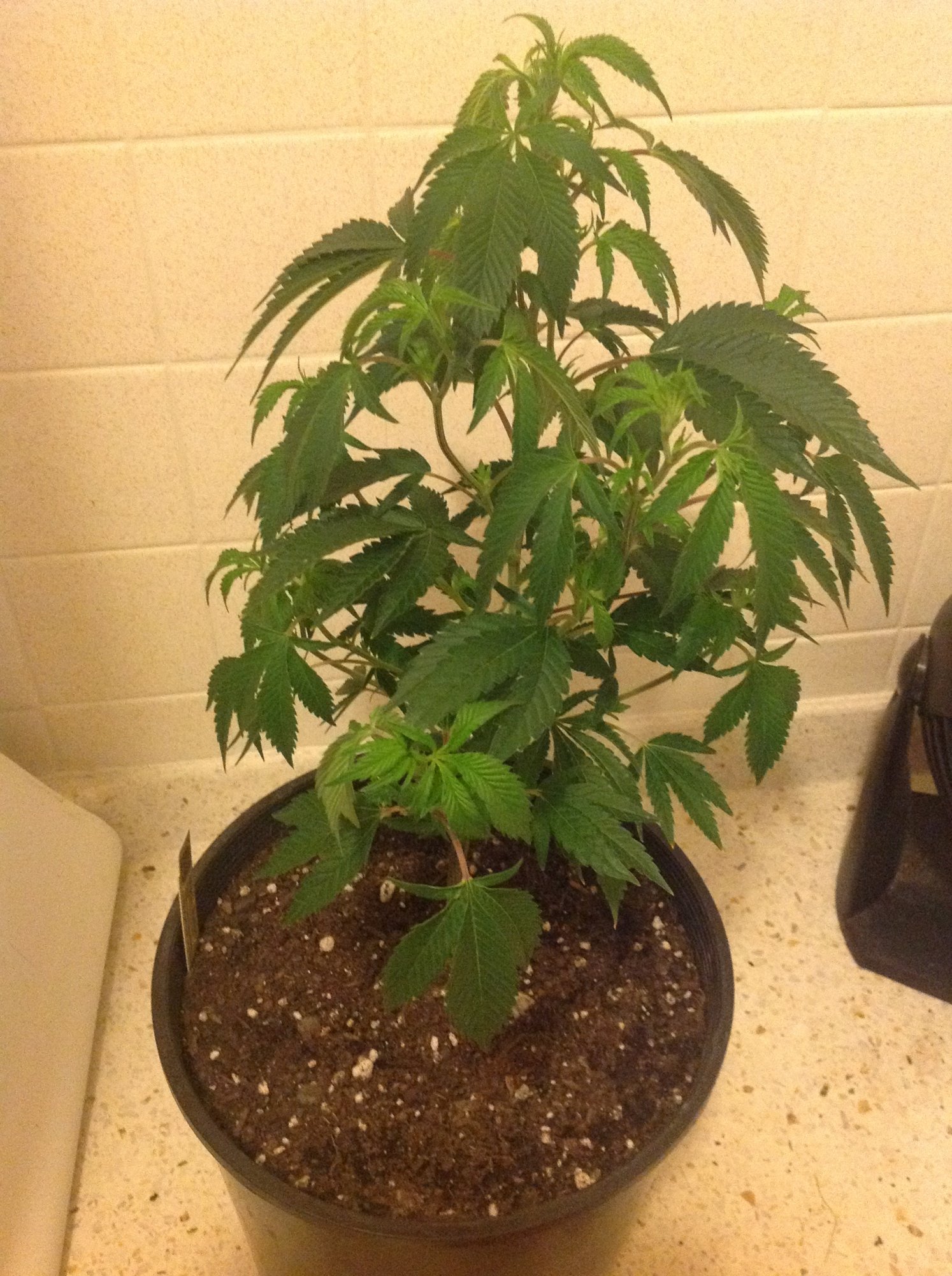 Indooroutdoor 5