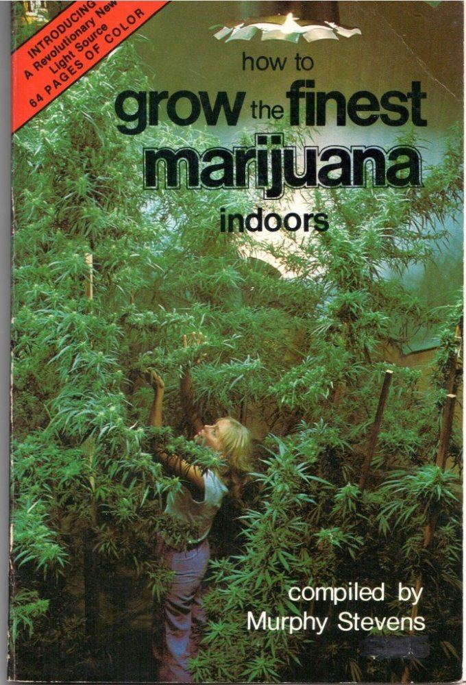 Indoors0cover