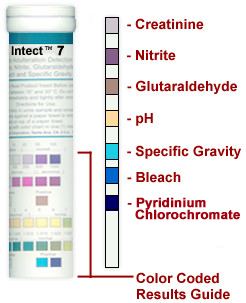 Intect