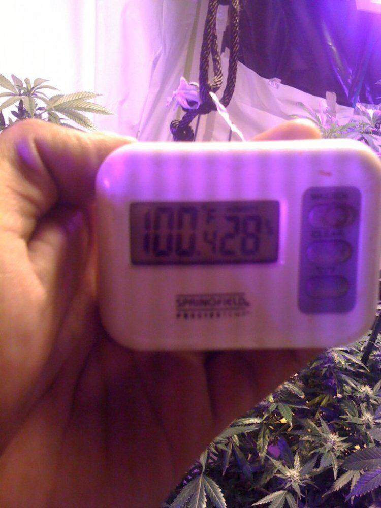Iphone 001