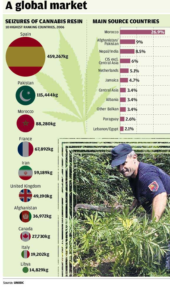Is it time the world forgot about cannabis in its war against drugs