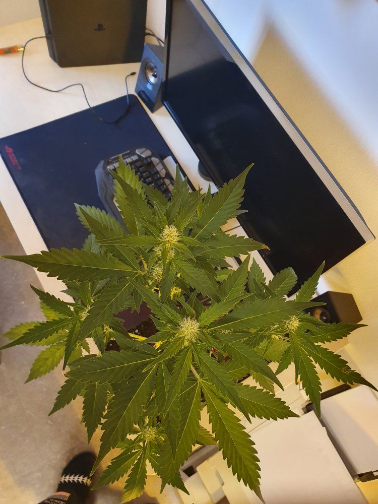 Is this a deficiency 6