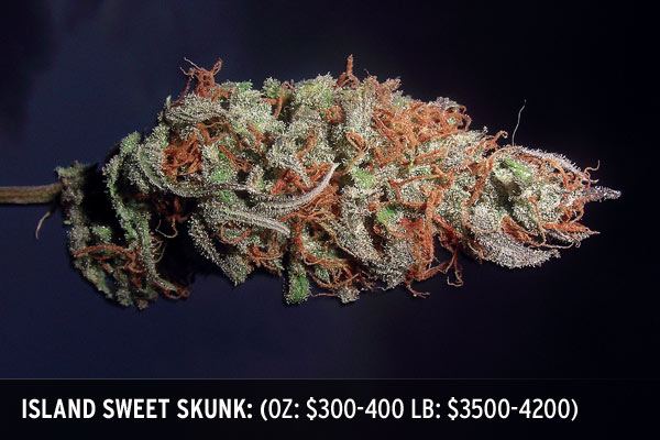 Island Sweet Skunk Bud