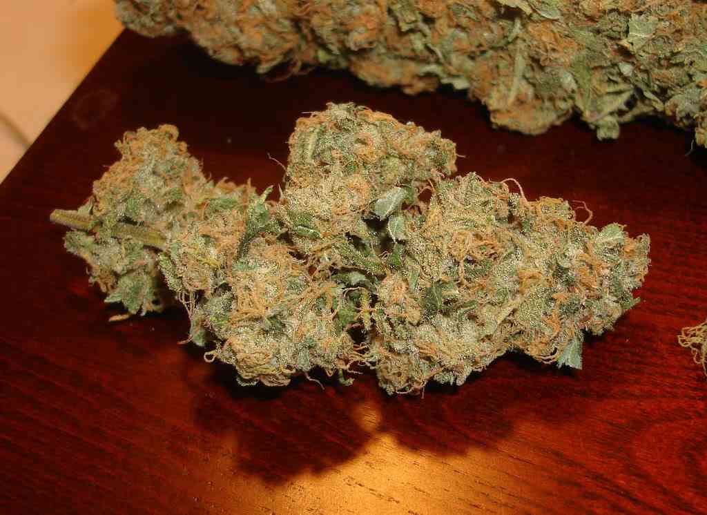 Island Sweet Skunk Buds