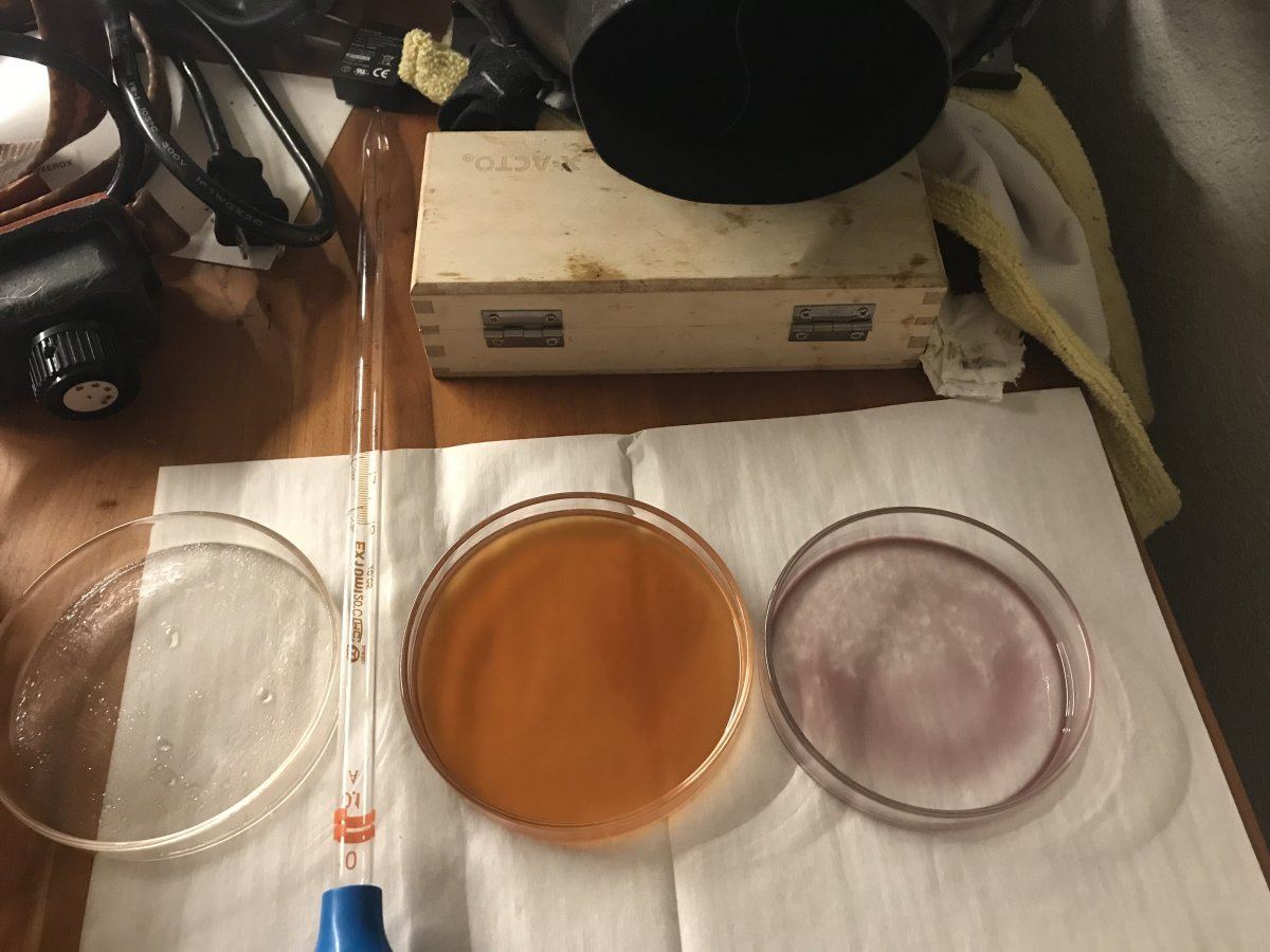 Isolating delta 9 thc step progression 9