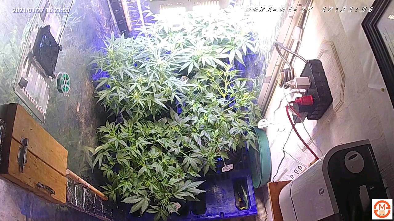 IthinkCam 2021012716215588