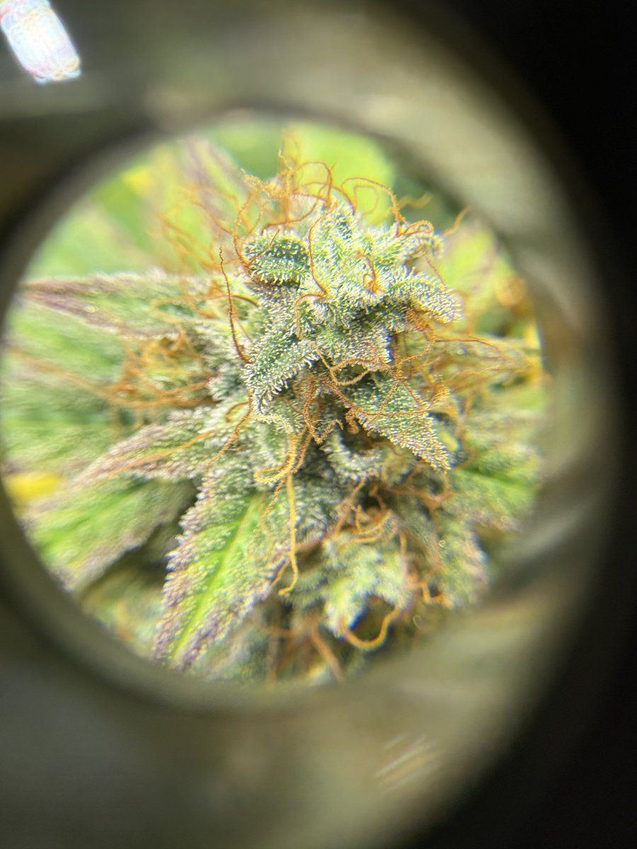 Its about that time 3