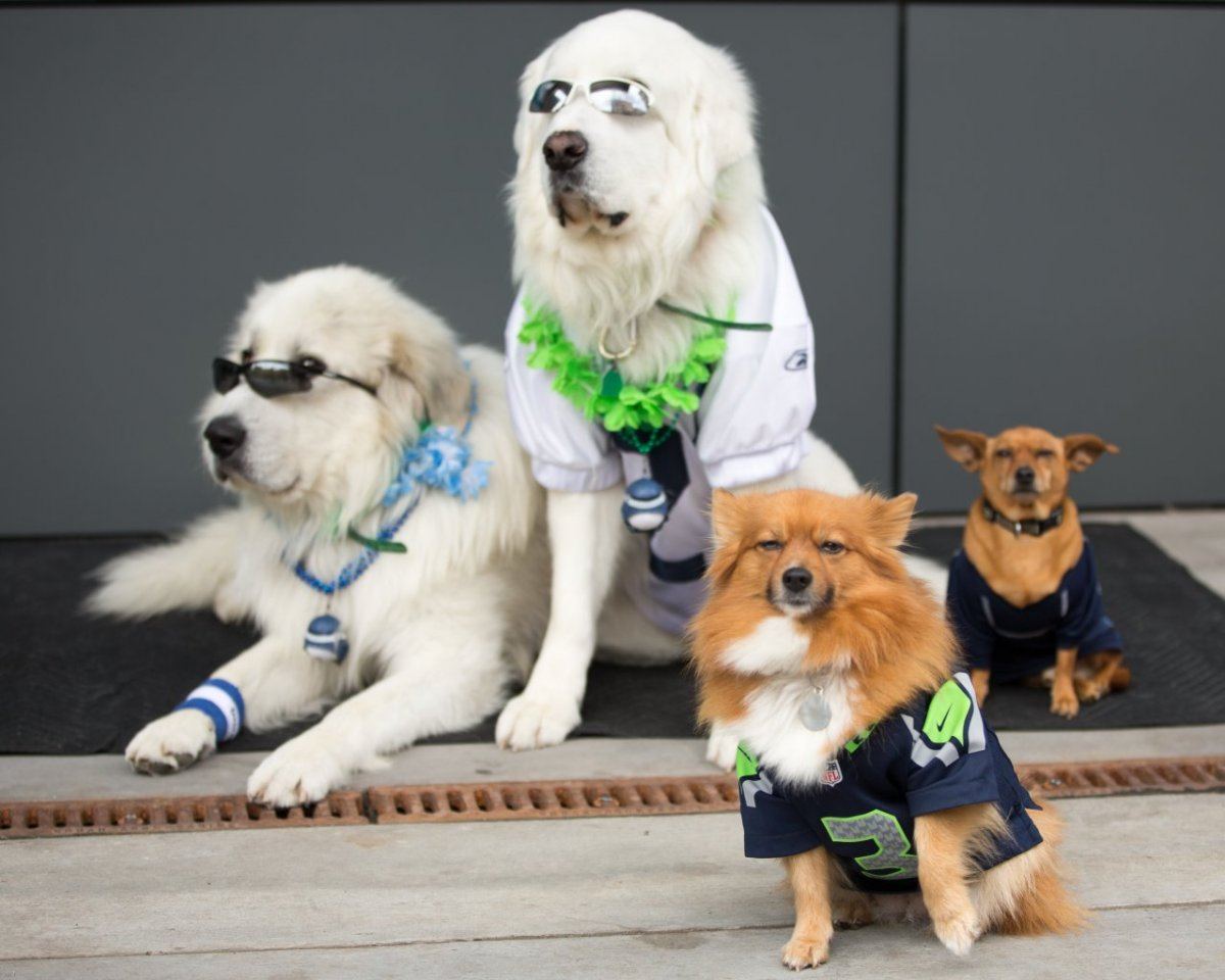 Izzyseahawk
