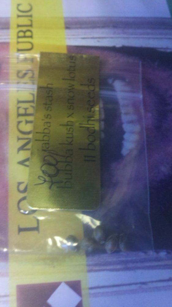 Jabbas stash