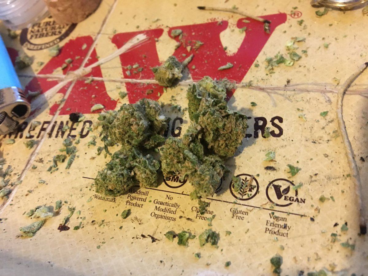 Jack herer