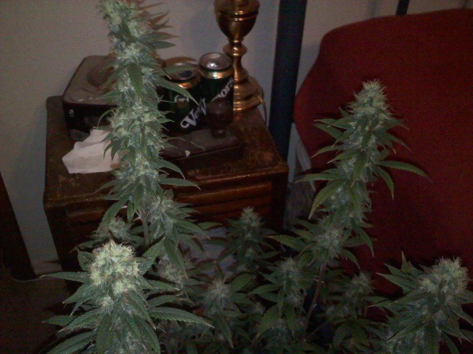 Jan 3120112