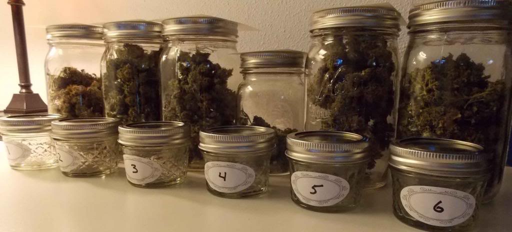 Jars