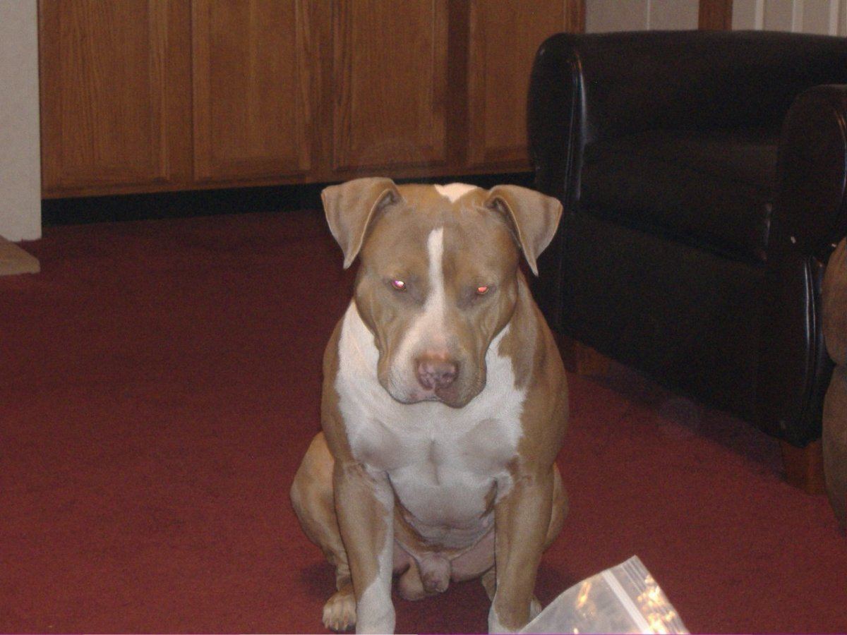 Jasper