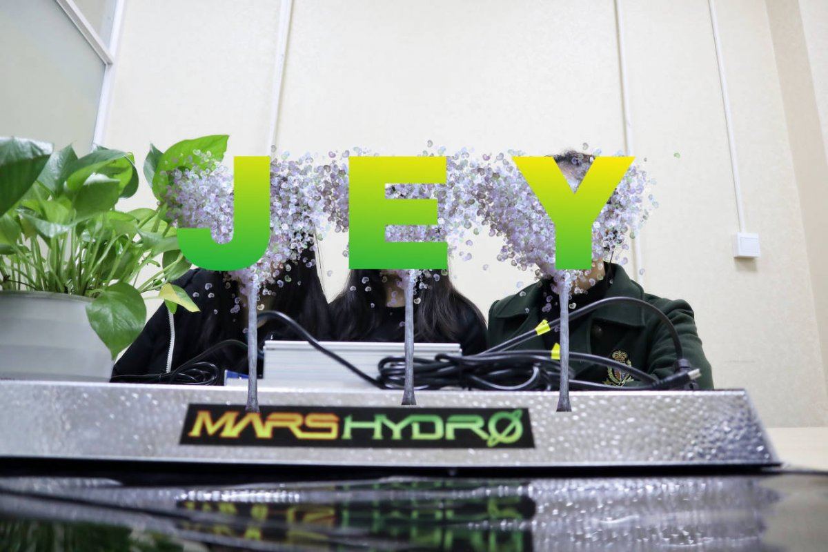 JEY team