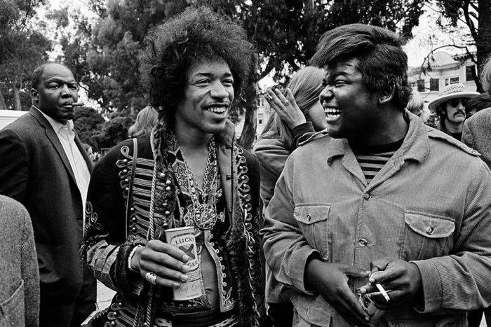 Jimi buddy