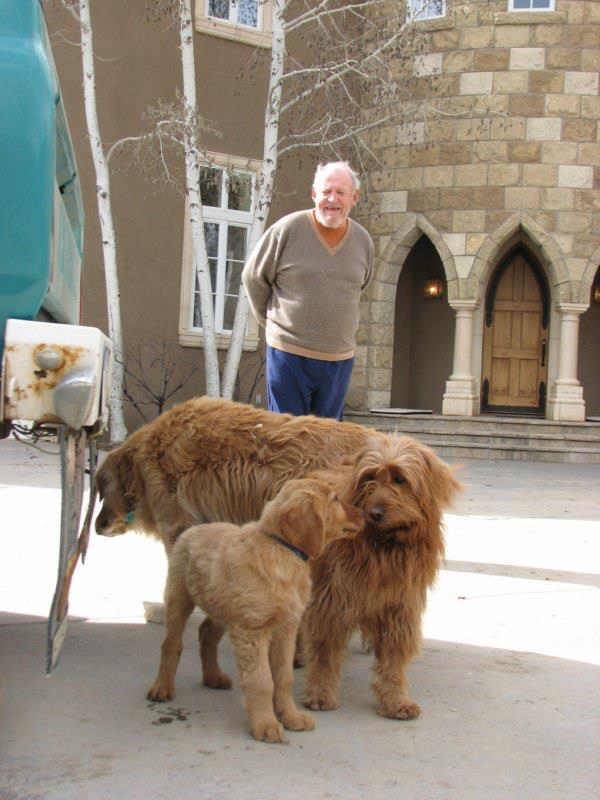 Joedogs