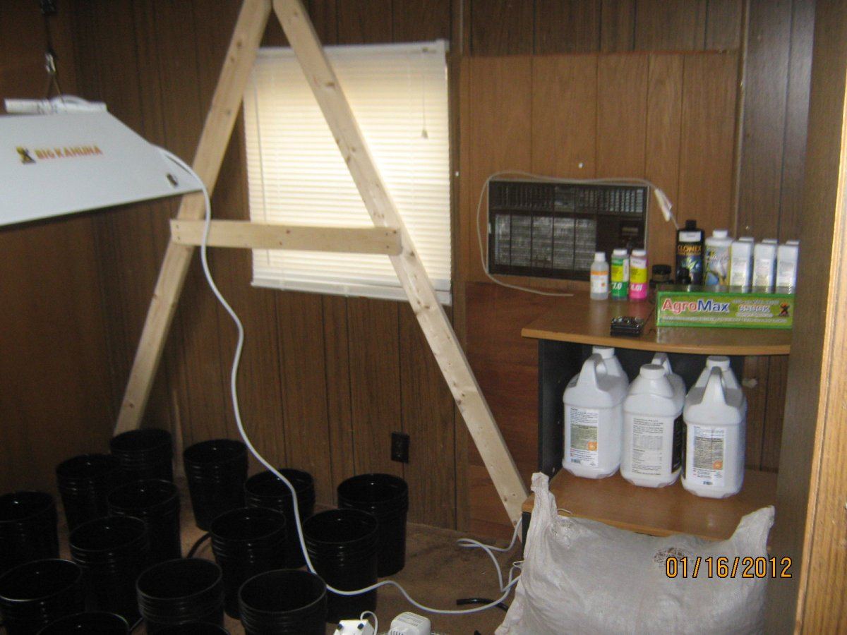John galts first grow 10