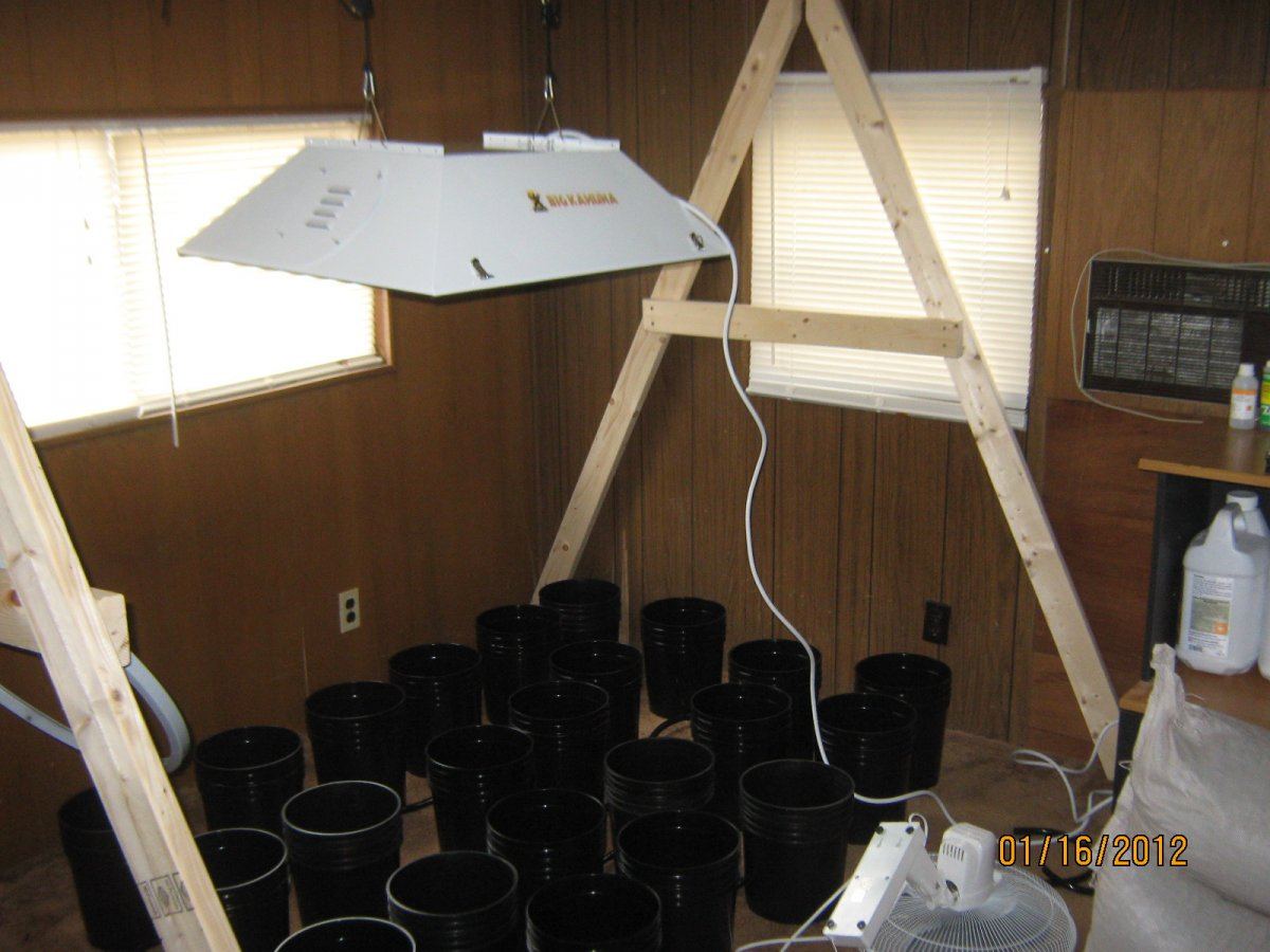 John galts first grow 9
