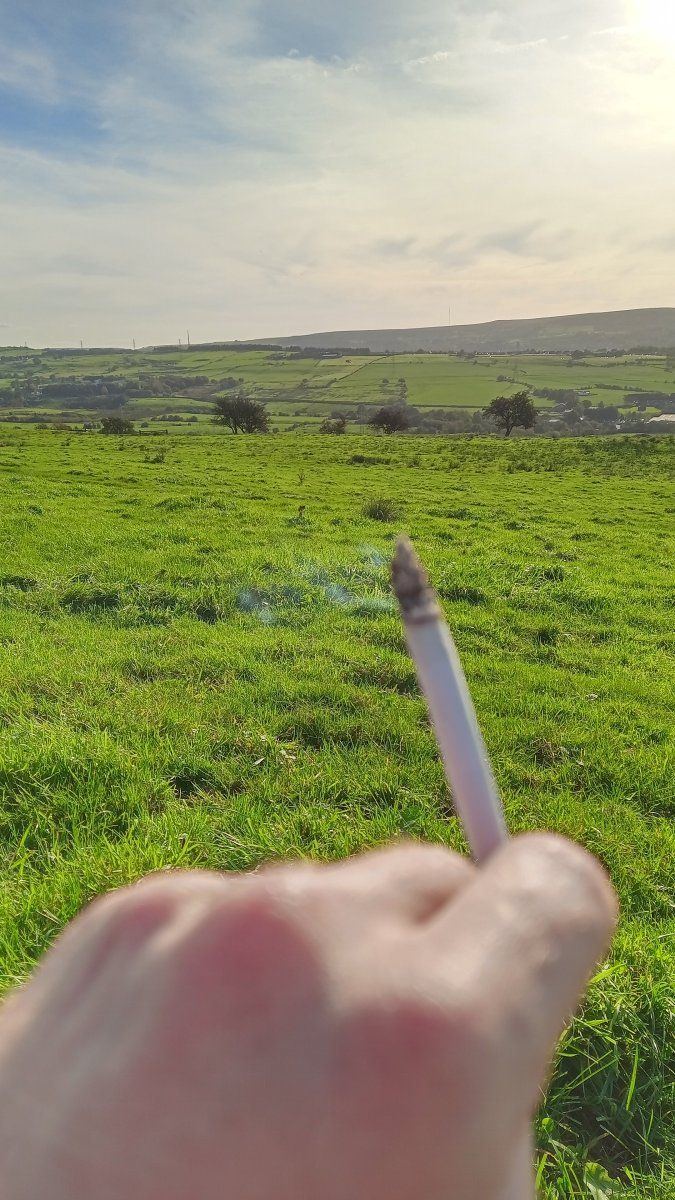 Joint