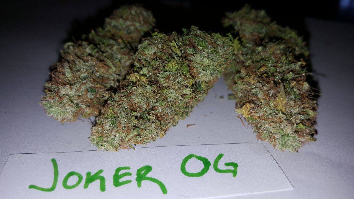 Joker OG 10 2015 2