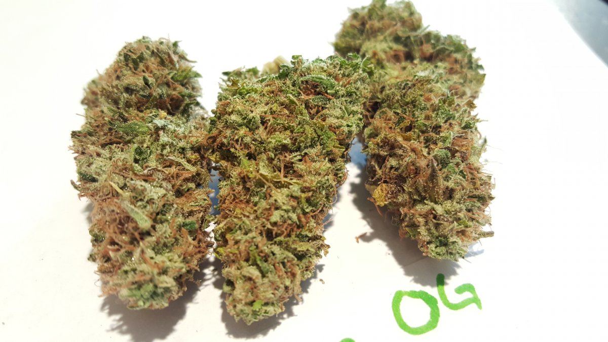 Joker OG 10 2015 5