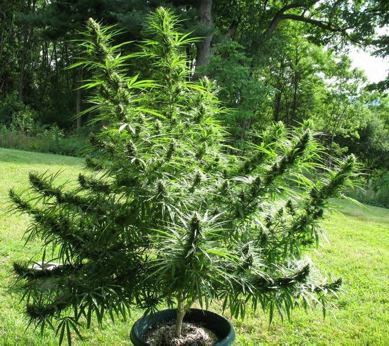 Jons outdoor