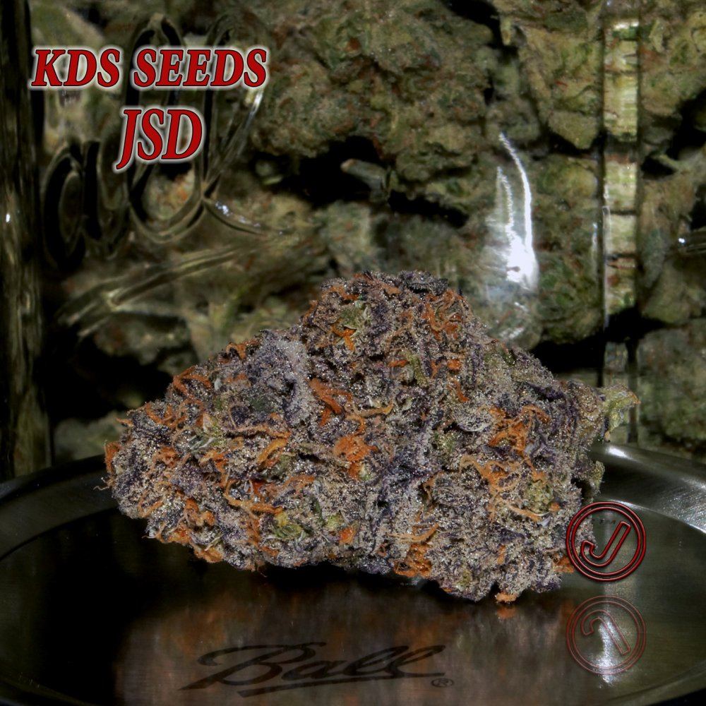 Jsd dry