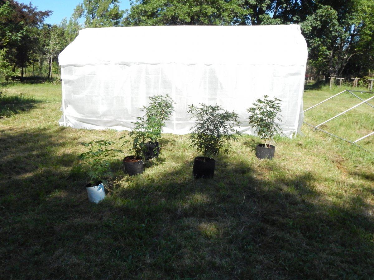 June 8th outdoor 004
