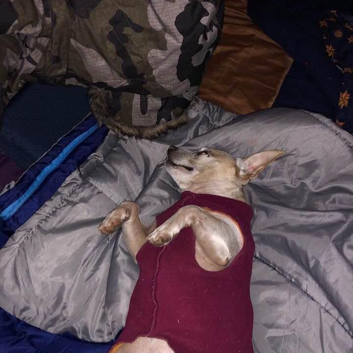 Junior snooze