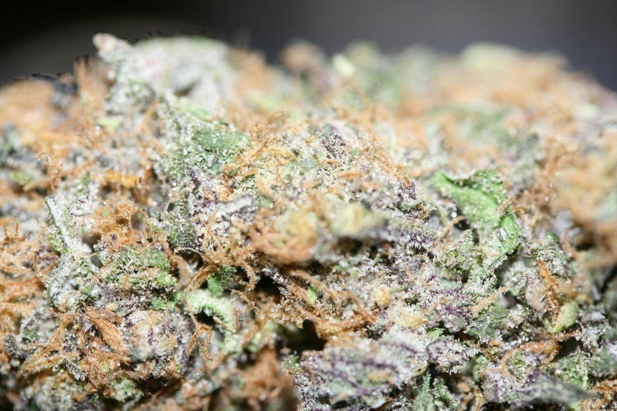 Just a few macro pics 2