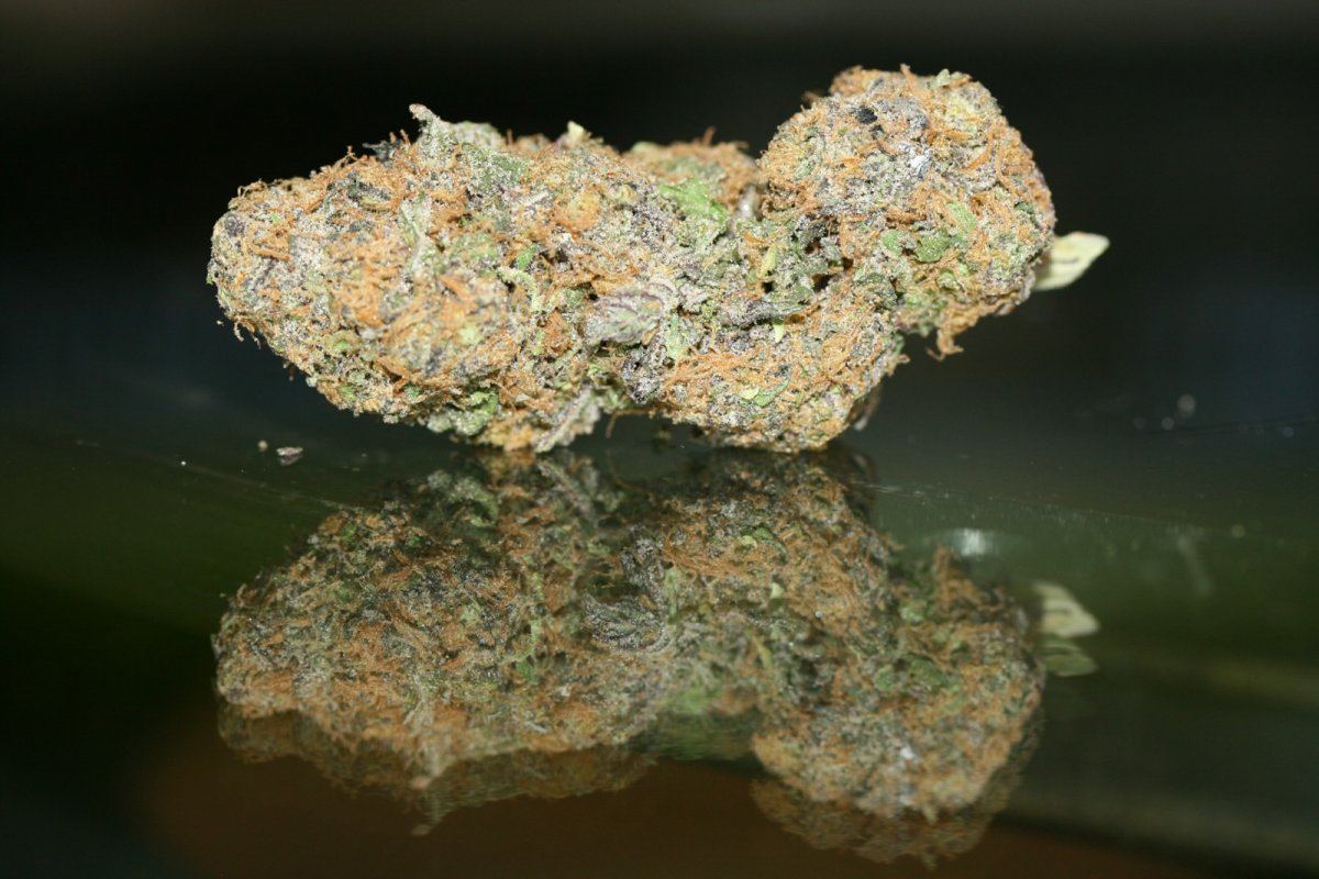 Just a few macro pics 3