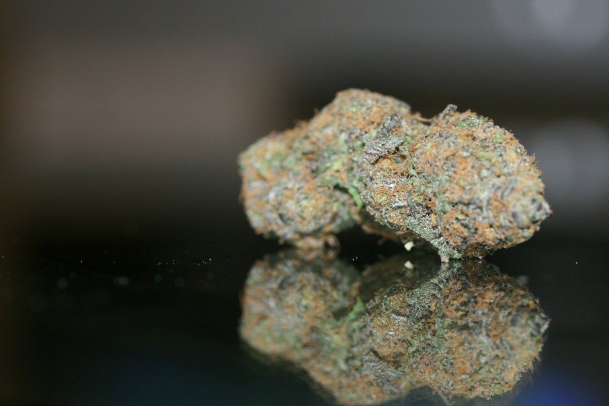 Just a few macro pics 4