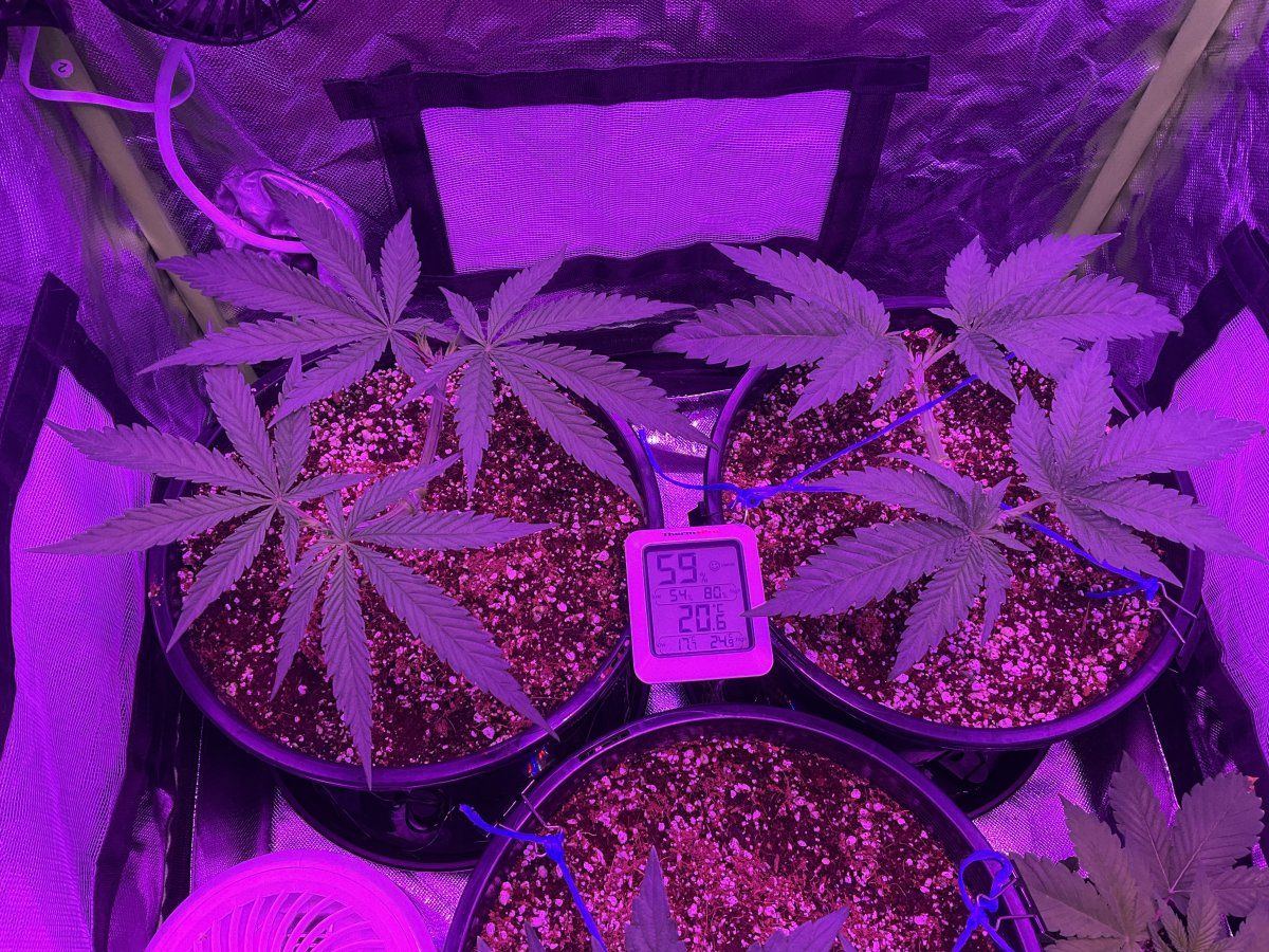 Just completed second topping mainline 5
